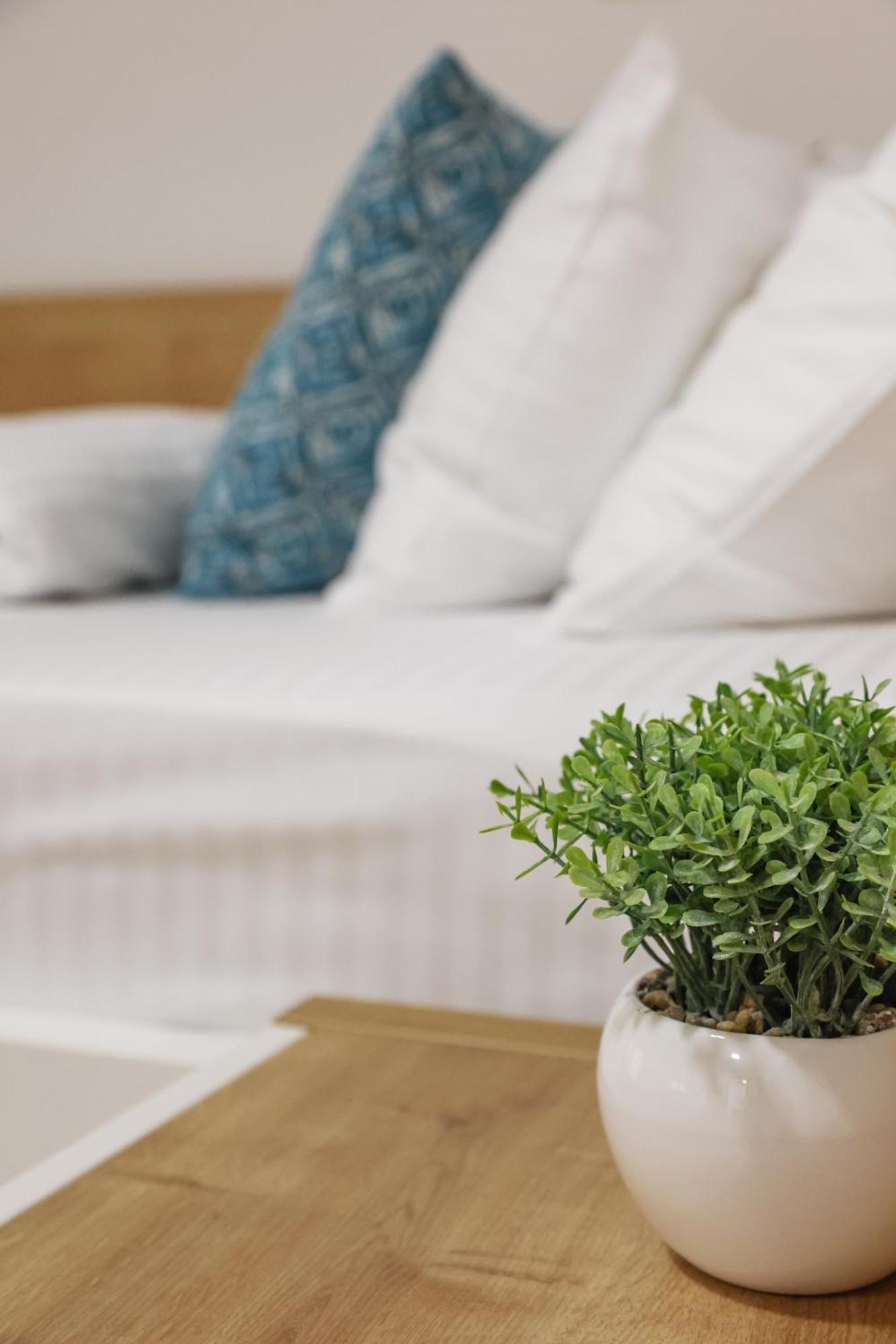Grand Park Rooms & Apartments Cacak Ngoại thất bức ảnh